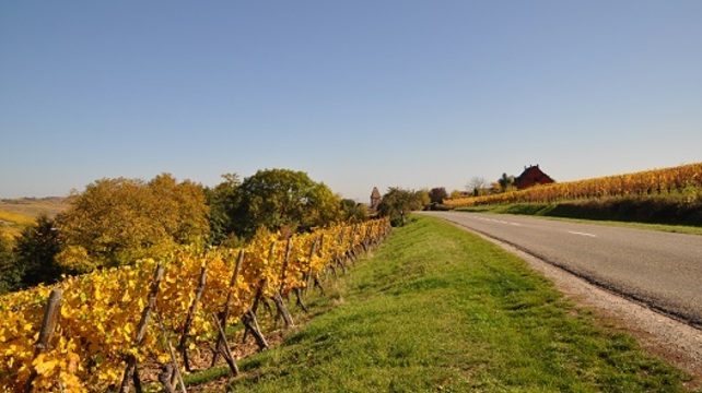 French Alsace Wine & Castles - 5 days - European Driving Vacation